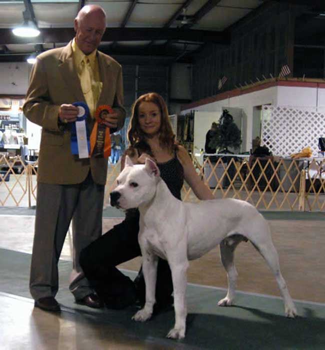 Legend Dogo Argentino Best of Breed